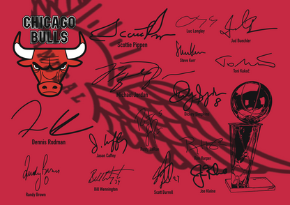 CHICAGO BULLS 1998 NBA CHAMPIONS Signature TEAM