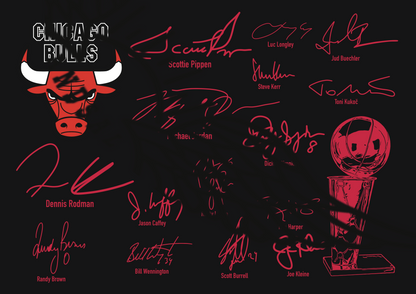 CHICAGO BULLS 1998 NBA CHAMPIONS Signature TEAM